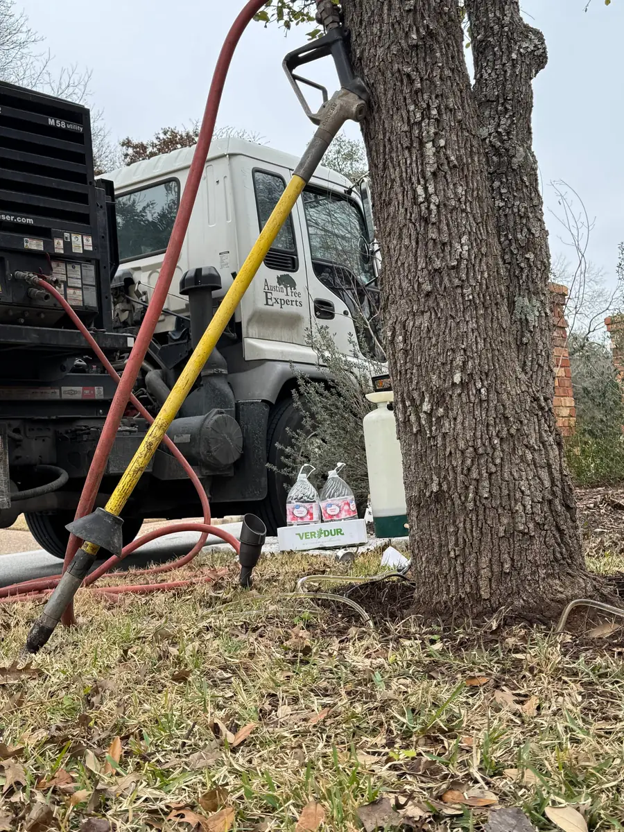 An air spade and its hose leaning against a tree trunk, the Kaeser M58u compressor truck behind