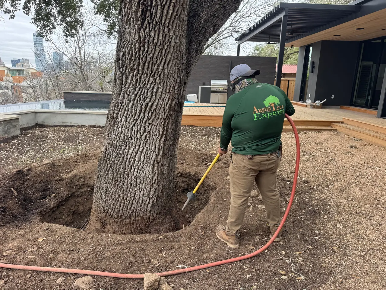 Austin Tree Experts crew member excavating a root flare with an air spade, downtown Austin skyline beyond