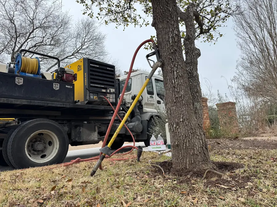 Air spade barrel resting against a tree trunk, its hose run back to a Kaeser M58u compressor on the Austin Tree Experts Isuzu Switch-N-Go flatbed