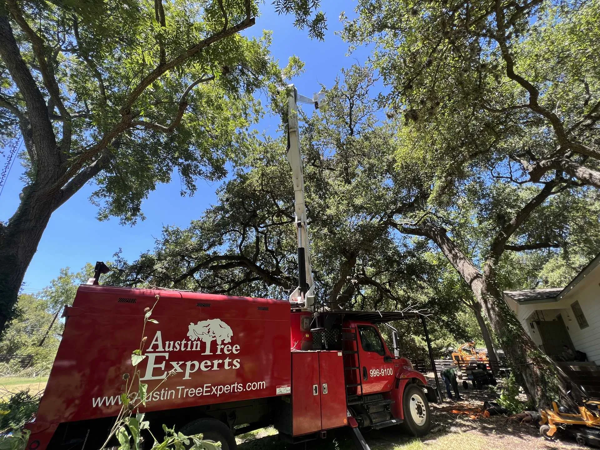 Austin Tree Experts bucket truck parked beneath a large live oak