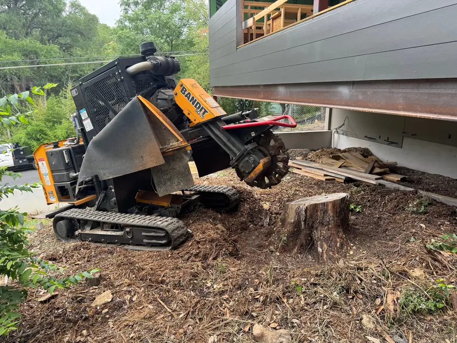 Tracked Bandit SG75 stump grinder with its cutter wheel raised beside a freshly ground stump, grindings banked around it at a house under construction