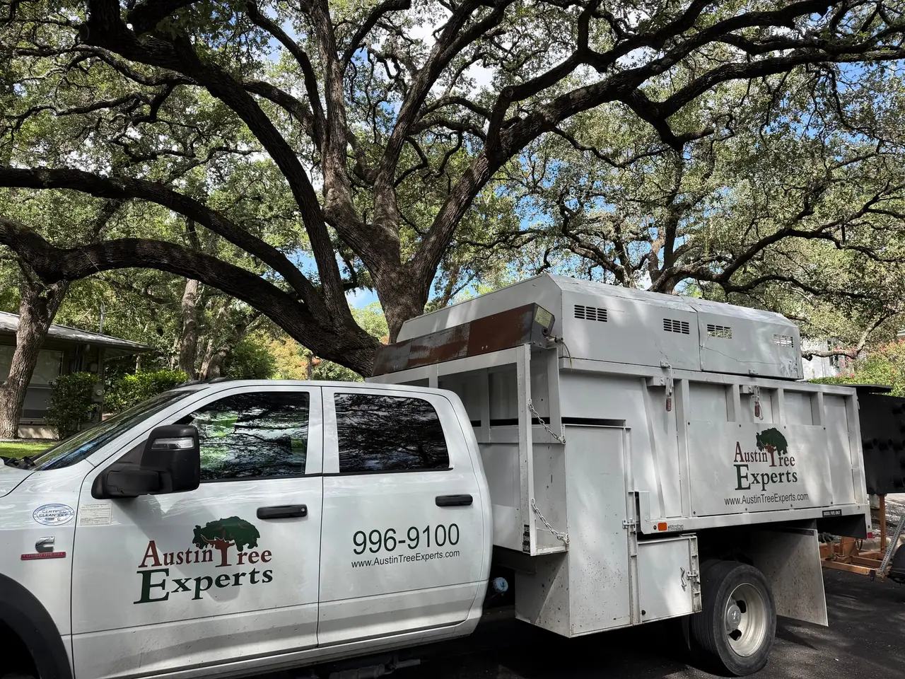 Austin Tree Experts chip truck parked beneath a spreading oak canopy, the company name, phone number and web address lettered on the door and the chip body