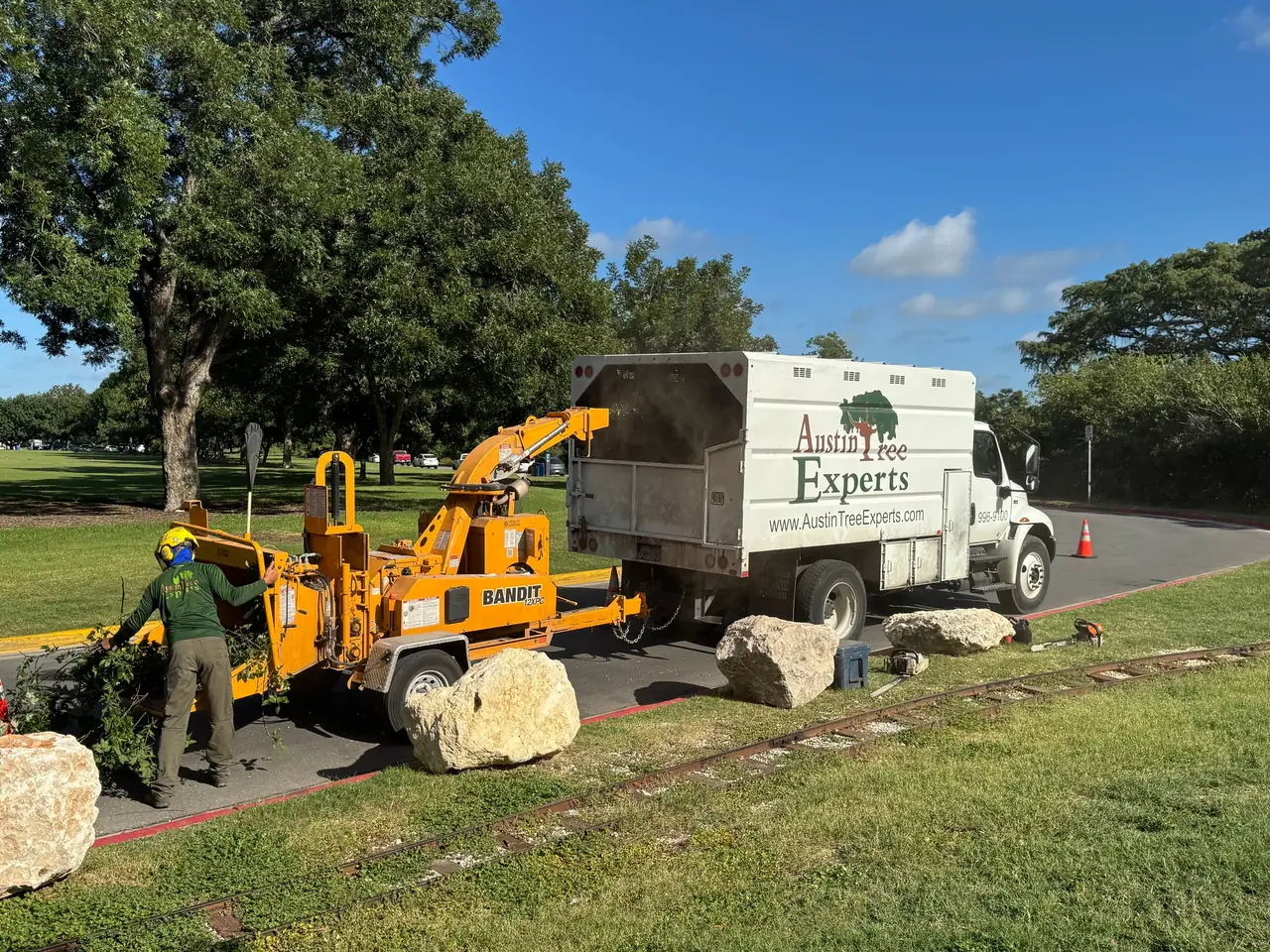 Austin Tree Experts chip truck and chipper on park grass, crew beside cut log rounds