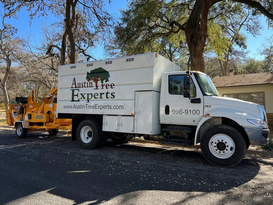 Austin Tree Experts International MV607 chip truck with a chipper hitched behind, parked in a lot under live oaks