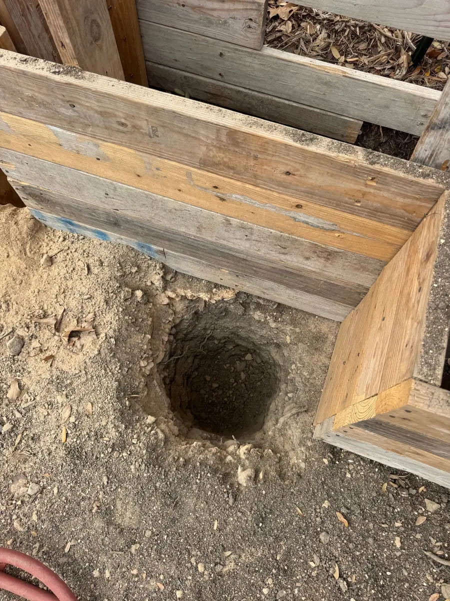 Pier hole excavation with root protection measures construction site