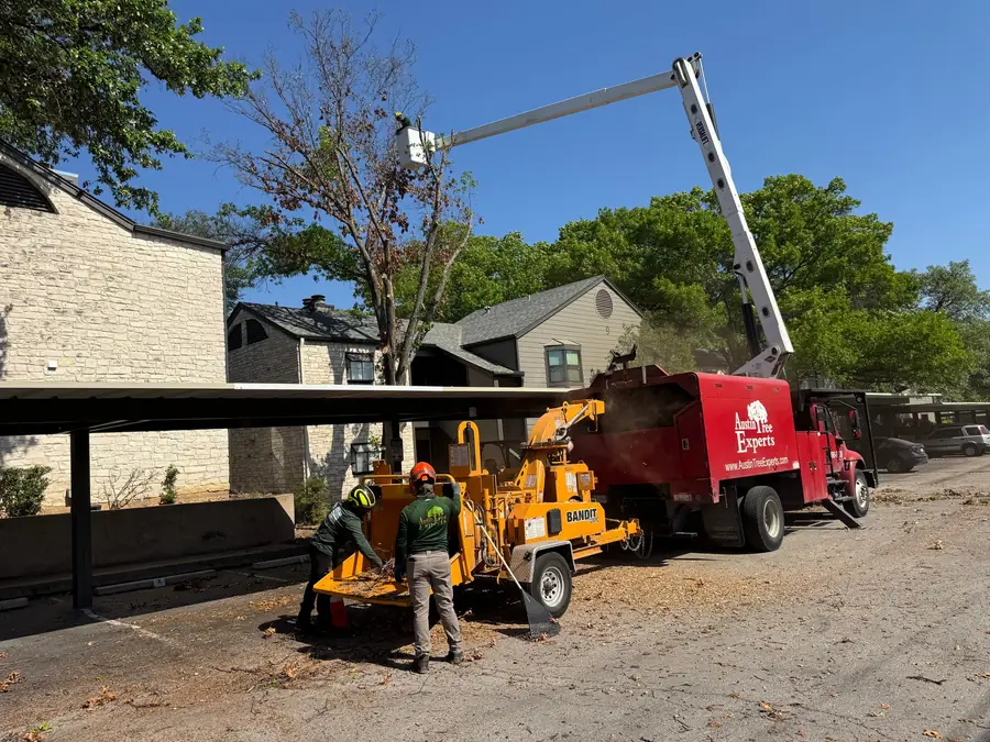 Crew feeding a 12-inch Bandit chipper beside a house, a red Austin Tree Experts truck alongside and the boom of an International bucket truck overhead