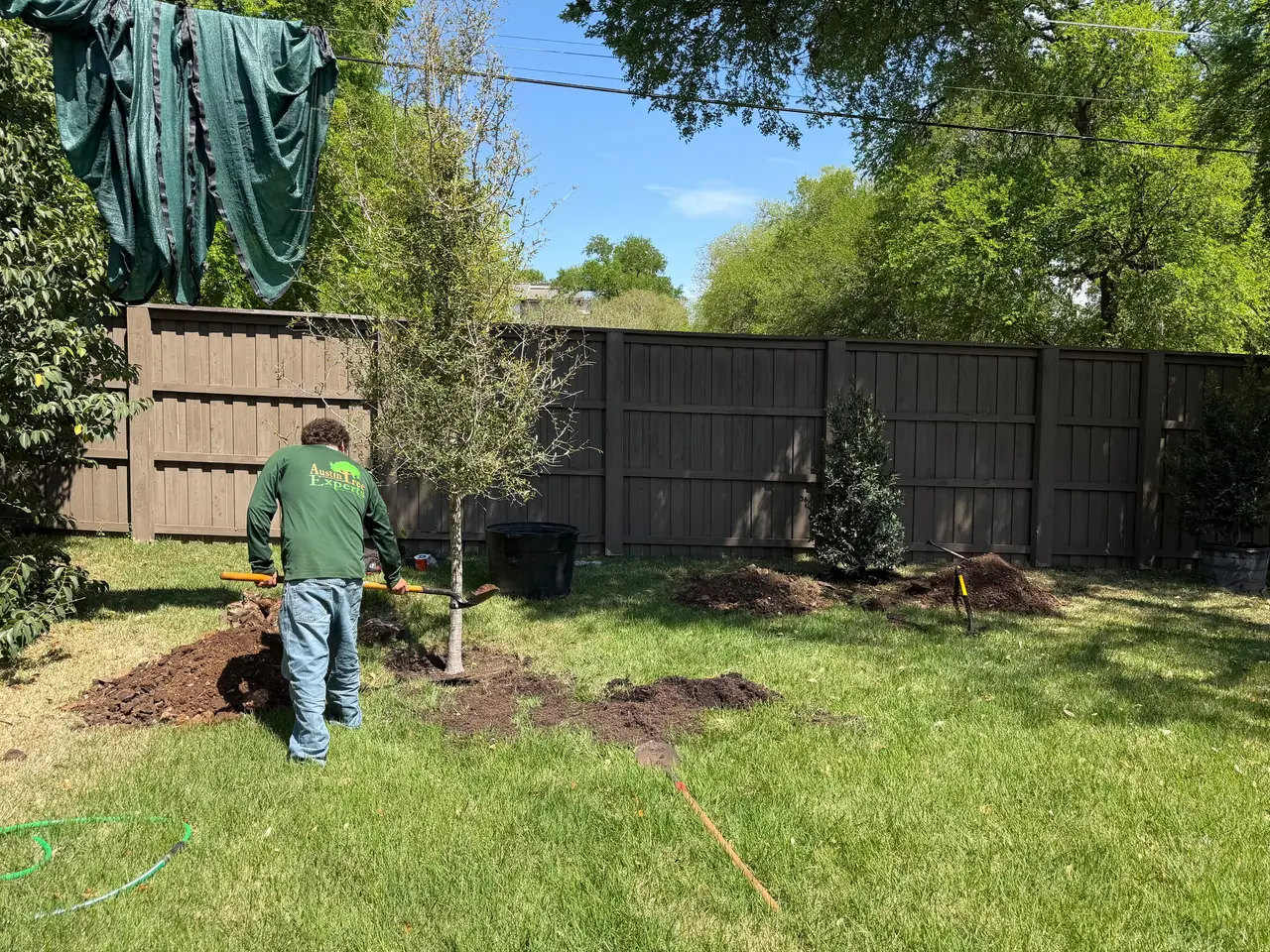 Crew member in a green crew shirt digging a planting hole beside a young tree along a wooden fence