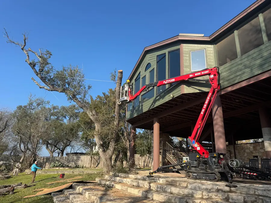 Tracked spider lift reaching over a hillside deck, operator in the basket working a live oak with a rigging line set
