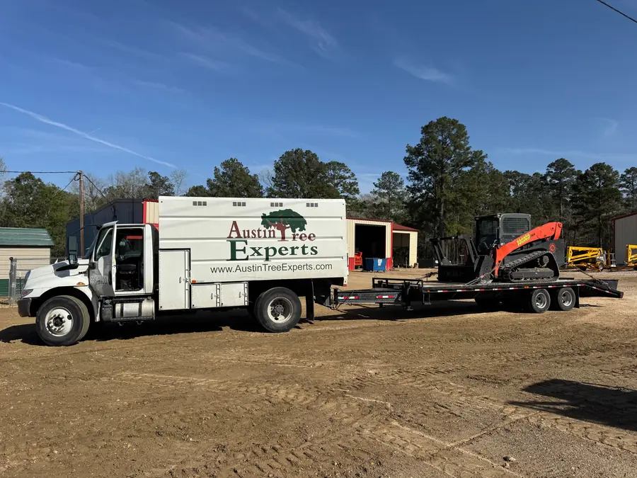 Compact track loader with a forestry mulcher head, chained to a pintle-hitch trailer behind an Austin Tree Experts chip truck