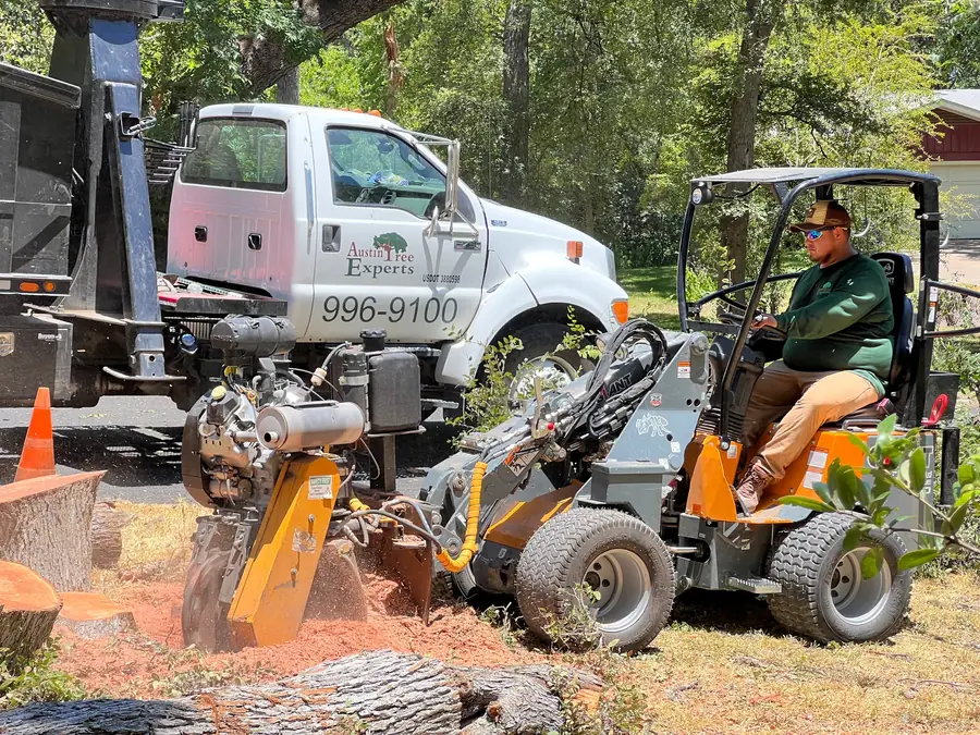 Austin Tree Experts operator running a boom-mounted stump grinder off a Giant articulated loader, grindings flying from the wheel, the branded dump truck parked behind