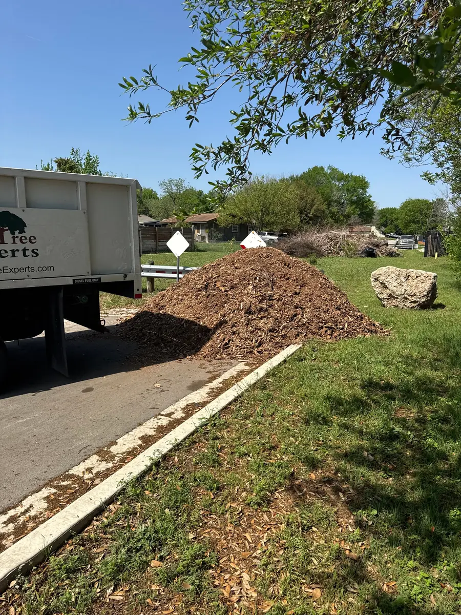Load of fresh wood-chip mulch tipped onto a driveway apron from an Austin Tree Experts dump truck