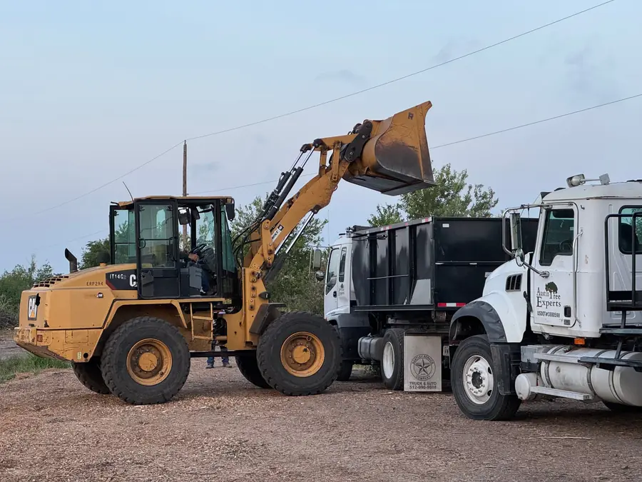 Caterpillar IT14 wheel loader with its bucket raised beside Austin Tree Experts trucks at the yard