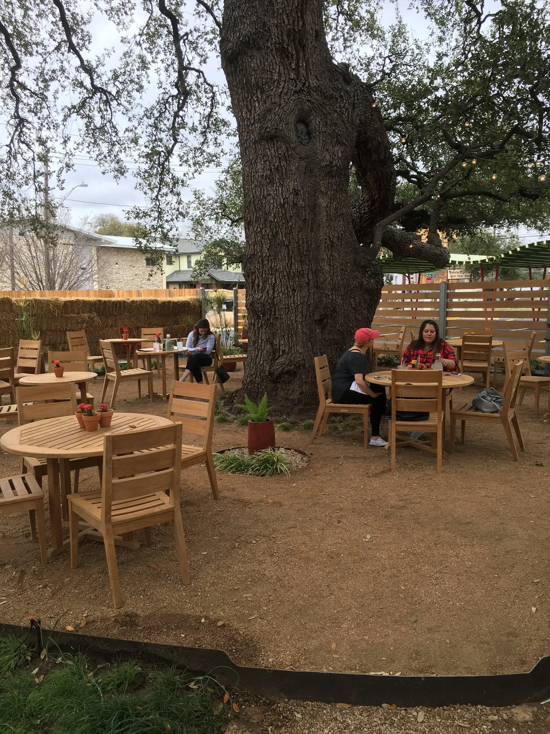 Tables and chairs set out on a gravel patio directly beneath a spreading canopy, diners at the nearest table
