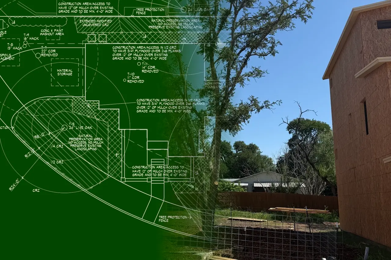 A tree protection plan drawing on the left dissolving into a photograph of the work built: wire protection fencing around a mulched root zone at the base of a cedar elm, framed and sheathed houses either side