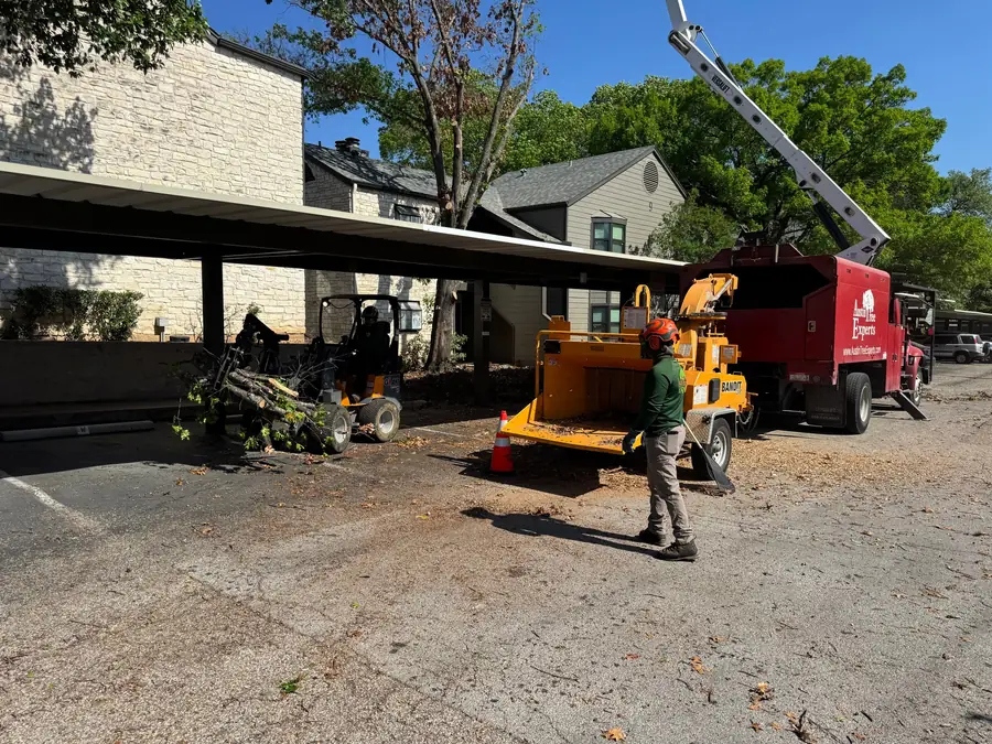 Austin Tree Experts crew member at the Bandit chipper's infeed on a multi-family property, the Versalift bucket truck's boom raised into a green canopy behind him and a bare, dying tree standing at the far end of the carports